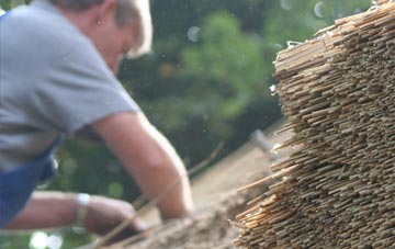 professional Nithside thatchers