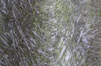 Nithside fibreglass roof work